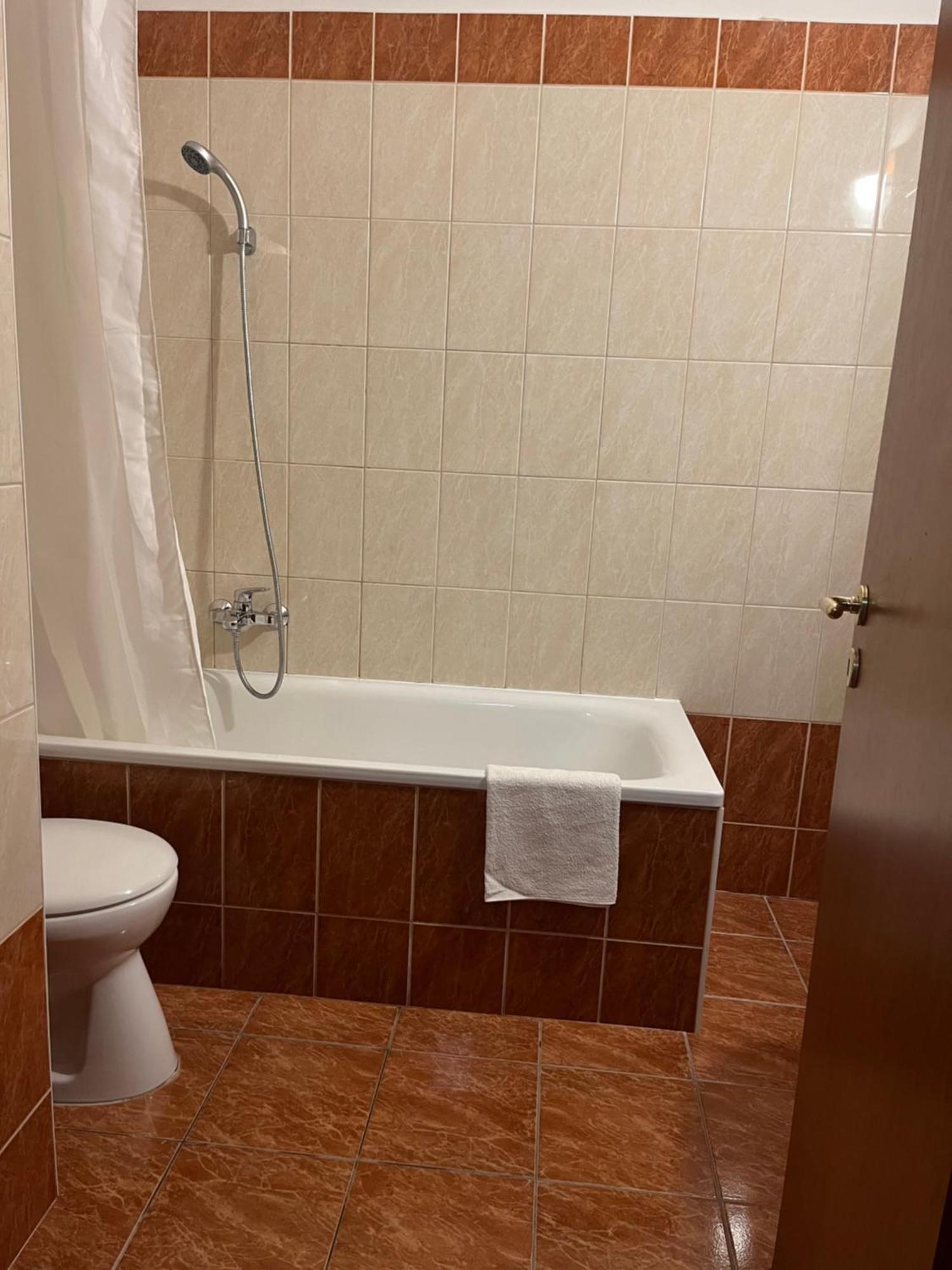 Apartman Downtown Rose Garden Whit Garage Opcional